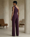 Deep Plum One-Shoulder Jumpsuit | Deep Plum One-Shoulder Bow Detail Jumpsuit for Women – Wide-Leg Statement Evening One-Piece 2.webp