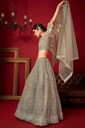 Champagne Beige Silk Net Lehenga Choli with Floral Embroidery 2.webp