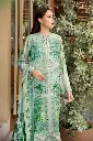 Mint Green Botanical Printed Lawn Suit (3).webp