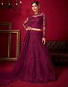 Wine Burgundy Embroidered Net Lehenga Choli with Sheer Yoke