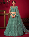 Silver Sage Embroidered Net Lehenga Choli