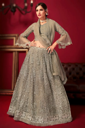 Champagne Beige Silk Net Lehenga Choli with Floral Embroidery