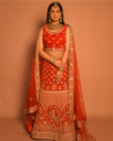 Crimson Red Velvet Lehenga with Peacock Motif & Gold Embroidery