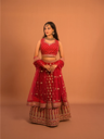 Blush Pink Embroidered Lehenga Choli with Gold Detailing